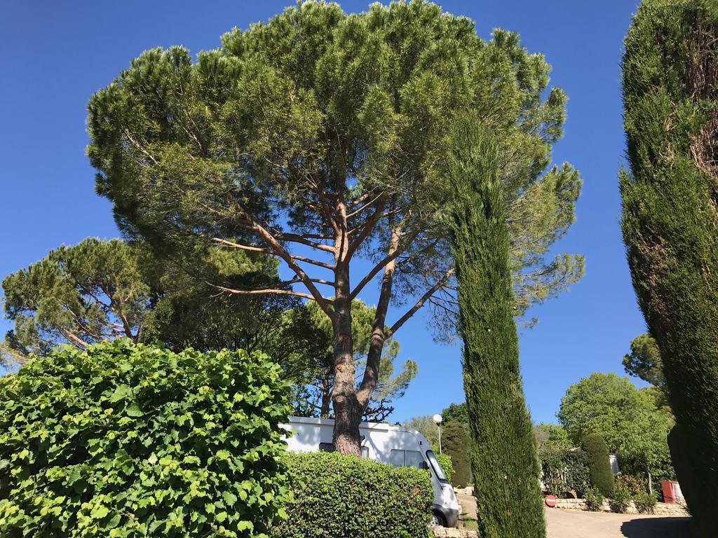 Camping La Paoute Grasse Zewnętrze zdjęcie